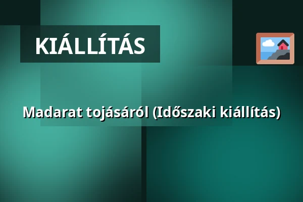 Madarat tojásáról (Időszaki kiállítás) · Körös–maros Nemzeti Park, Budapest